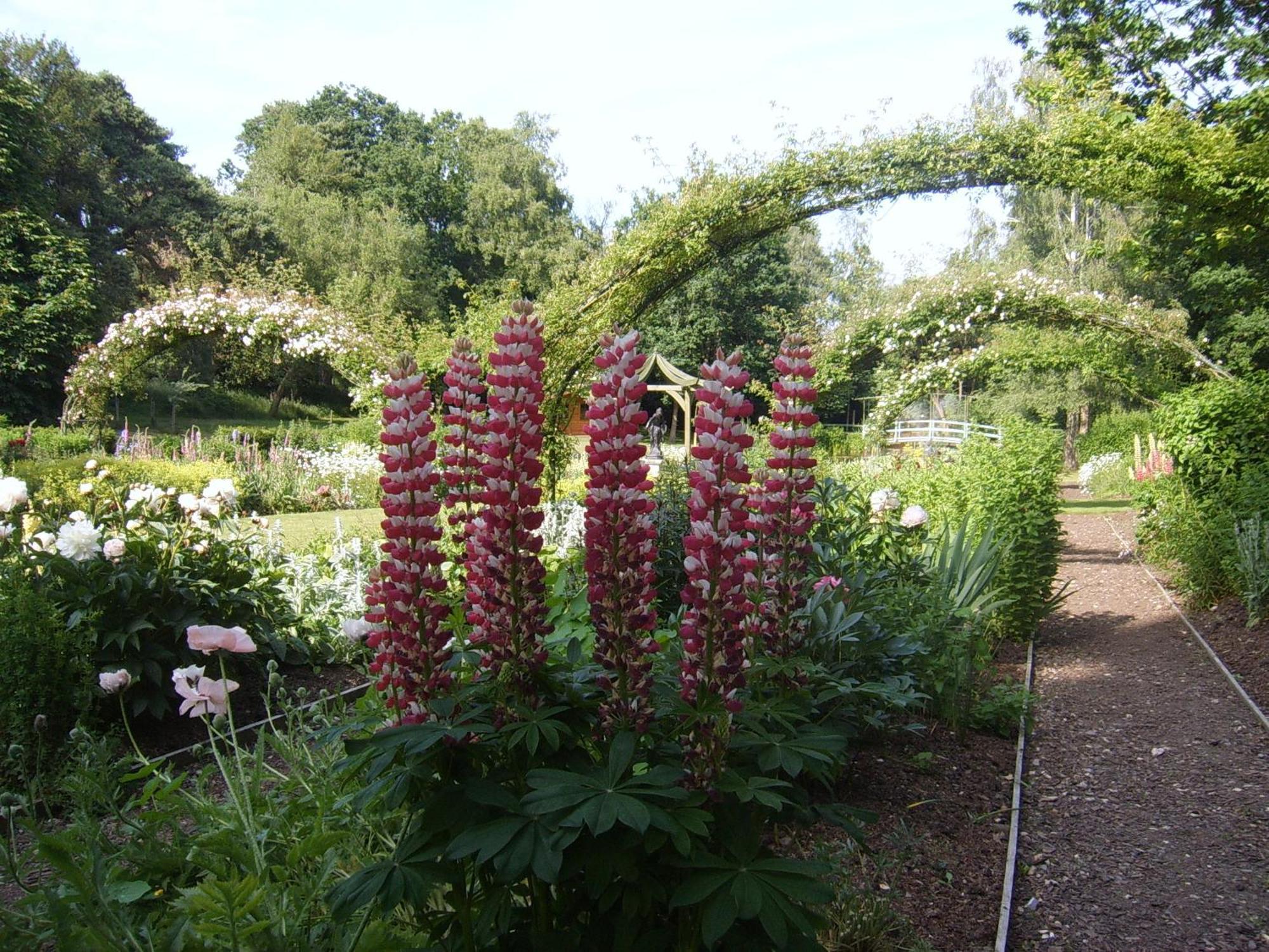 Passford House Hotel Lymington Buitenkant foto